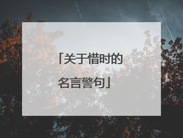关于惜时的名言警句
