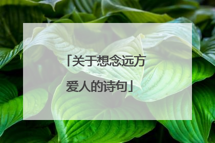 关于想念远方爱人的诗句
