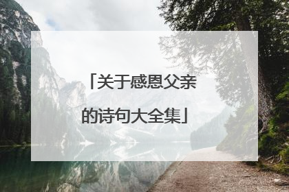 关于感恩父亲的诗句大全集
