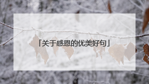 关于感恩的优美好句