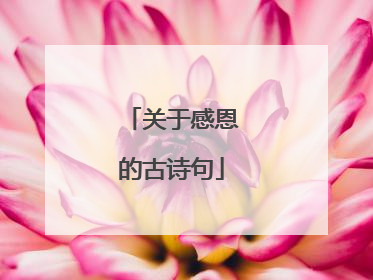 关于感恩的古诗句