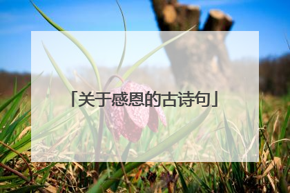关于感恩的古诗句