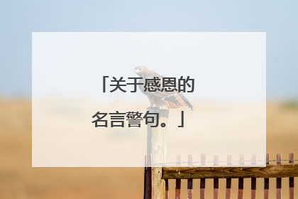 关于感恩的名言警句。