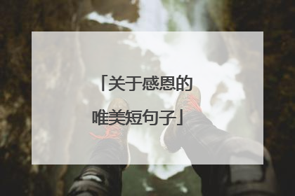 关于感恩的唯美短句子