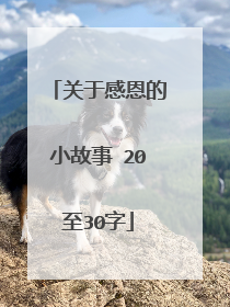 关于感恩的小故事 20至30字