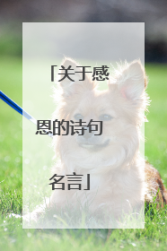 关于感恩的诗句名言