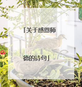 关于感恩师德的诗句