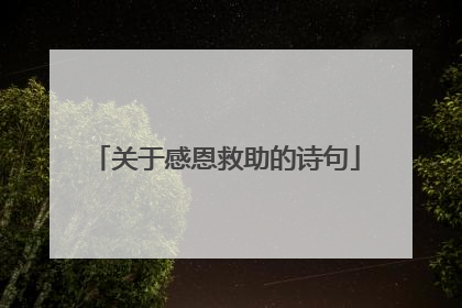 关于感恩救助的诗句