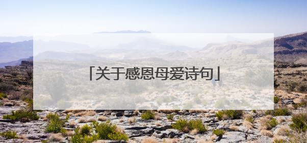 关于感恩母爱诗句