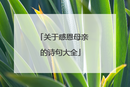 关于感恩母亲的诗句大全
