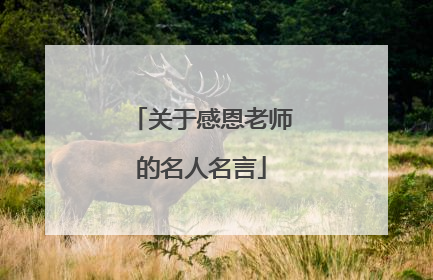 关于感恩老师的名人名言