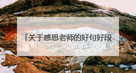 关于感恩老师的好句好段.......................