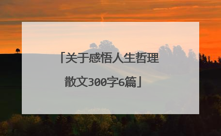 关于感悟人生哲理散文300字6篇