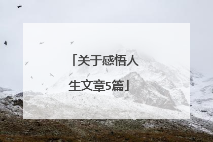 关于感悟人生文章5篇
