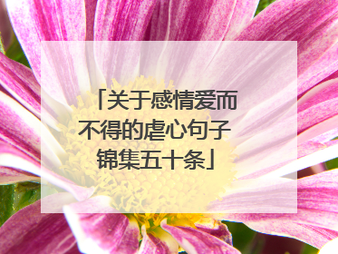 关于感情爱而不得的虐心句子锦集五十条