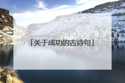 关于成功的古诗句