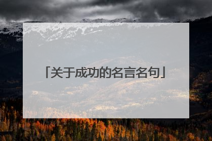 关于成功的名言名句