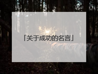 关于成功的名言