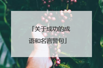 关于成功的成语和名言警句