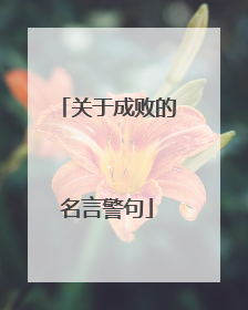 关于成败的名言警句