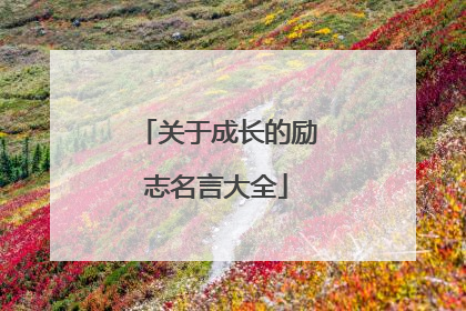 关于成长的励志名言大全