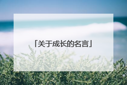 关于成长的名言