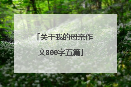关于我的母亲作文800字五篇