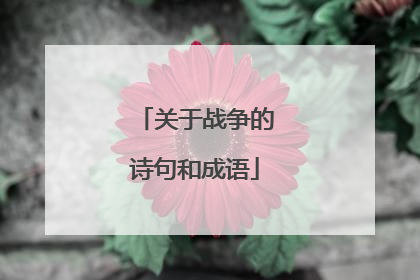 关于战争的诗句和成语