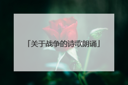 关于战争的诗歌朗诵