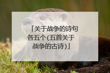 关于战争的诗句各五个(五首关于战争的古诗)