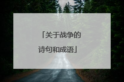 关于战争的诗句和成语