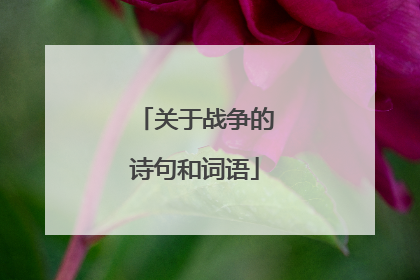 关于战争的诗句和词语