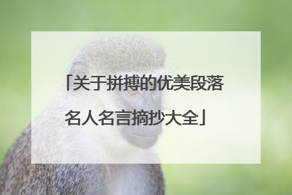 关于拼搏的优美段落名人名言摘抄大全