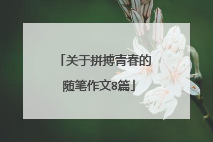 关于拼搏青春的随笔作文8篇