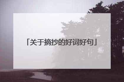 关于摘抄的好词好句