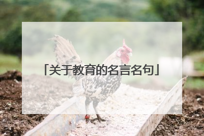 关于教育的名言名句