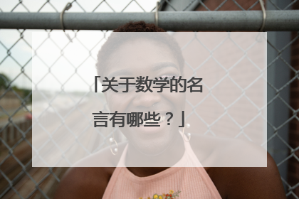关于数学的名言有哪些？