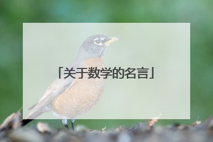 关于数学的名言
