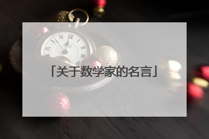 关于数学家的名言