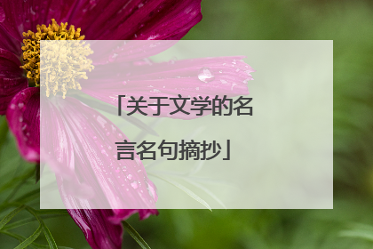关于文学的名言名句摘抄
