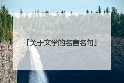 关于文学的名言名句