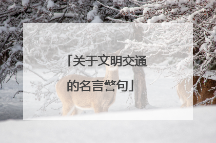 关于文明交通的名言警句