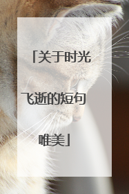 关于时光飞逝的短句唯美
