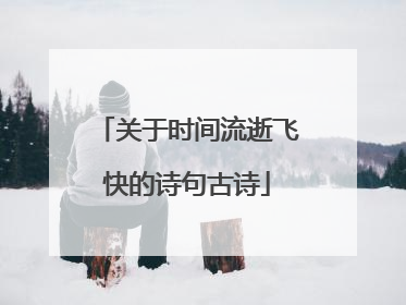 关于时间流逝飞快的诗句古诗