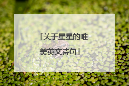 关于星星的唯美英文诗句