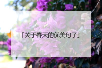 关于春天的优美句子