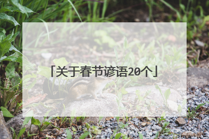 关于春节谚语20个