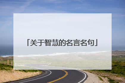 关于智慧的名言名句
