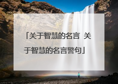 关于智慧的名言 关于智慧的名言警句