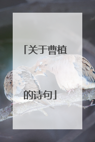 关于曹植的诗句